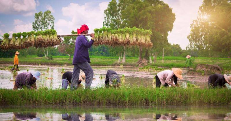 waterpartnership.org.au